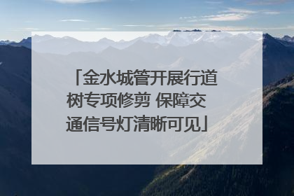 金水城管开展行道树专项修剪 保障交通信号灯清晰可见