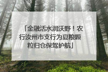 金融活水润沃野！农行汝州市支行为夏粮颗粒归仓保驾护航