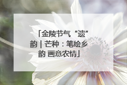 金陵节气“遗”韵｜芒种：笔绘乡韵 画意农情