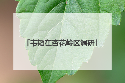 韦韬在杏花岭区调研