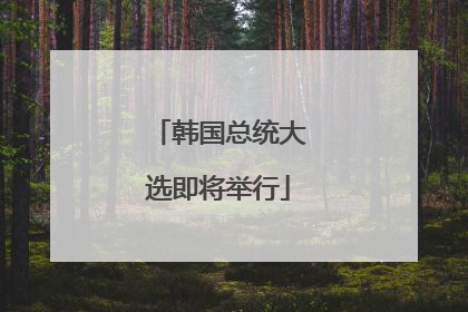 韩国总统大选即将举行
