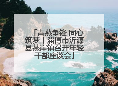 青燕争锋 同心筑梦丨淄博市沂源县燕崖镇召开年轻干部座谈会