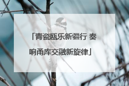 青瓷瓯乐新疆行 奏响甬库交融新旋律