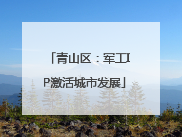 青山区：军工IP激活城市发展