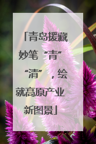 青岛援藏妙笔“青”“清”，绘就高原产业新图景