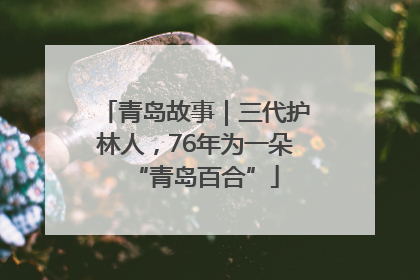 青岛故事｜三代护林人，76年为一朵“青岛百合”