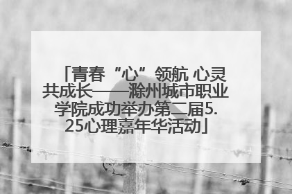 青春“心”领航 心灵共成长——滁州城市职业学院成功举办第二届5.25心理嘉年华活动