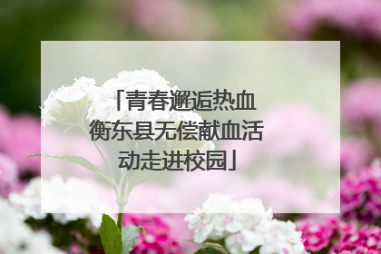 青春邂逅热血 衡东县无偿献血活动走进校园