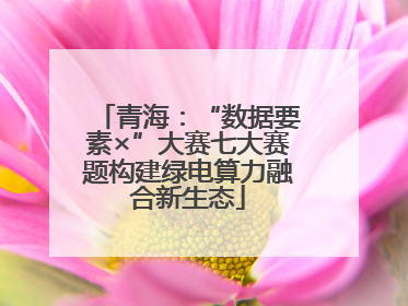 青海：“数据要素×”大赛七大赛题构建绿电算力融合新生态