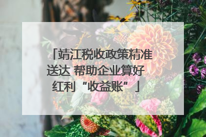 靖江税收政策精准送达 帮助企业算好红利“收益账”
