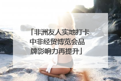 非洲友人实地打卡 中非经贸博览会品牌影响力再提升