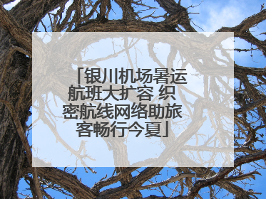 银川机场暑运航班大扩容 织密航线网络助旅客畅行今夏