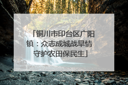 铜川市印台区广阳镇：众志成城战旱情 守护农田保民生