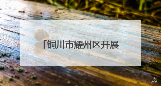 铜川市耀州区开展“百市千县”中医药文化惠民活动
