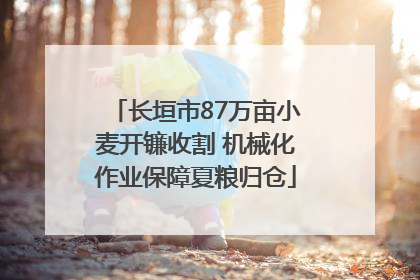 长垣市87万亩小麦开镰收割 机械化作业保障夏粮归仓