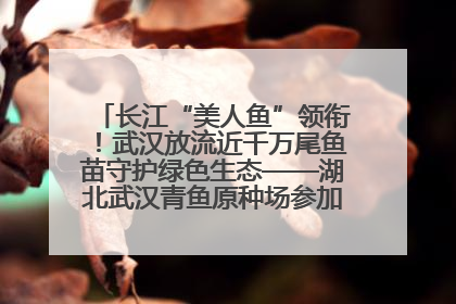 长江“美人鱼”领衔！武汉放流近千万尾鱼苗守护绿色生态——湖北武汉青鱼原种场参加2025年“全国放鱼日”增殖放流活动