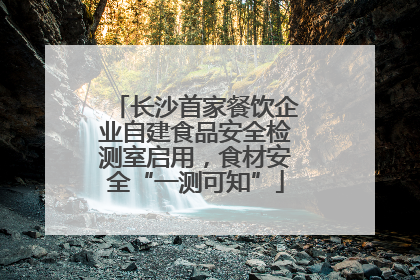 长沙首家餐饮企业自建食品安全检测室启用，食材安全“一测可知”