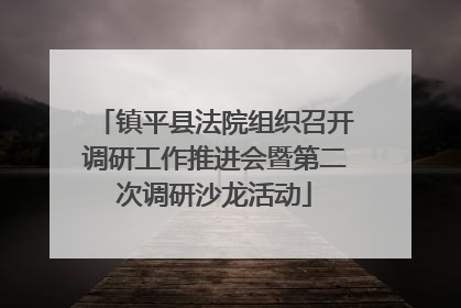 镇平县法院组织召开调研工作推进会暨第二次调研沙龙活动