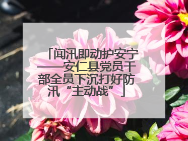闻汛即动护安宁——安仁县党员干部全员下沉打好防汛“主动战”