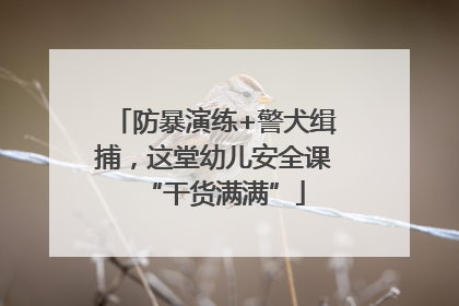 防暴演练+警犬缉捕，这堂幼儿安全课“干货满满”