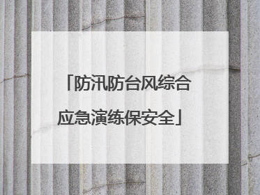 防汛防台风综合应急演练保安全