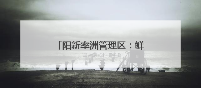 阳新率洲管理区：鲜桃“接力”上市 多品种拉长甜蜜采摘期