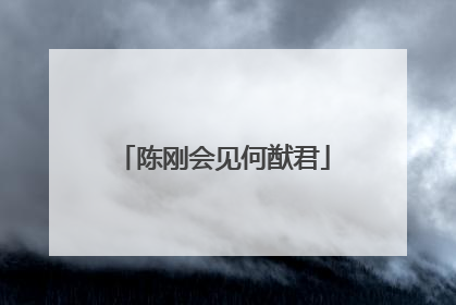 陈刚会见何猷君