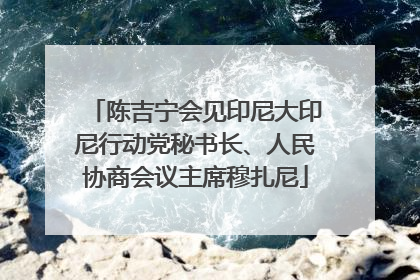 陈吉宁会见印尼大印尼行动党秘书长、人民协商会议主席穆扎尼