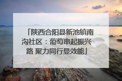 陕西合阳县新池镇南沟社区：葡萄串起振兴路 聚力同行显效能