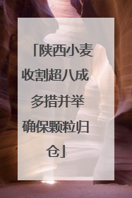 陕西小麦收割超八成 多措并举确保颗粒归仓