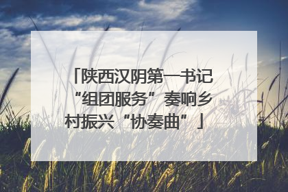 陕西汉阴第一书记“组团服务”奏响乡村振兴“协奏曲”