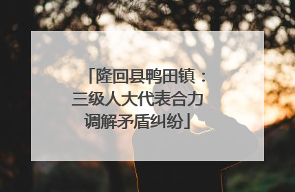 隆回县鸭田镇：三级人大代表合力调解矛盾纠纷