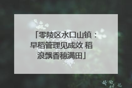 零陵区水口山镇：早稻管理见成效 稻浪飘香穗满田