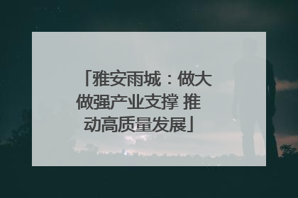 雅安雨城：做大做强产业支撑 推动高质量发展