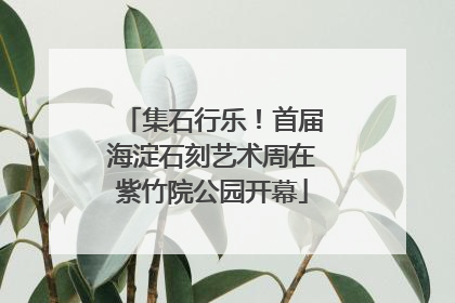 集石行乐！首届海淀石刻艺术周在紫竹院公园开幕