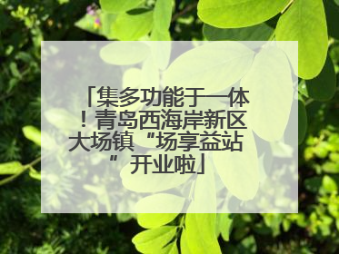 集多功能于一体！青岛西海岸新区大场镇“场享益站”开业啦