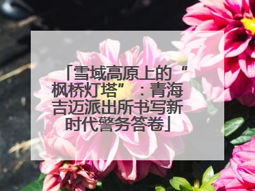 雪域高原上的“枫桥灯塔”：青海吉迈派出所书写新时代警务答卷