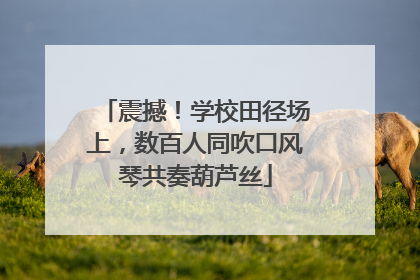 震撼！学校田径场上，数百人同吹口风琴共奏葫芦丝