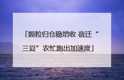 颗粒归仓稳增收 宿迁“三夏”农忙跑出加速度
