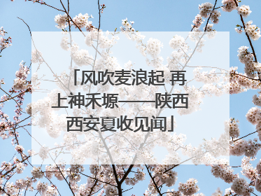 风吹麦浪起 再上神禾塬——陕西西安夏收见闻