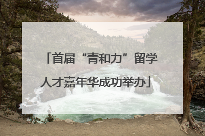 首届“青和力”留学人才嘉年华成功举办