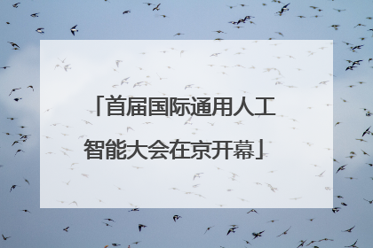 首届国际通用人工智能大会在京开幕