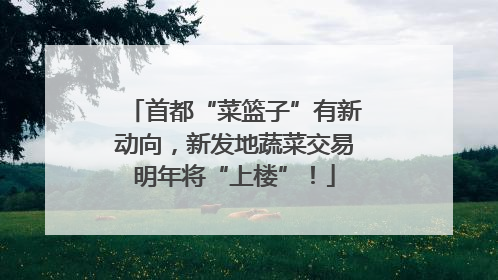 首都“菜篮子”有新动向，新发地蔬菜交易明年将“上楼”！