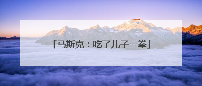 马斯克：吃了儿子一拳