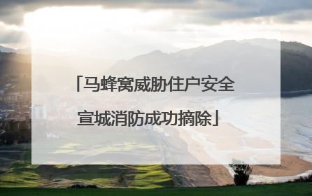 马蜂窝威胁住户安全 宣城消防成功摘除