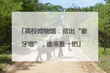 高校博物馆：欲出“象牙塔”，谁来推一把