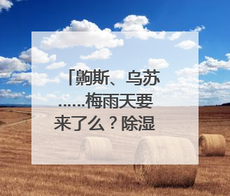 齁斯、乌苏……梅雨天要来了么？除湿机赶紧安排上｜申评测