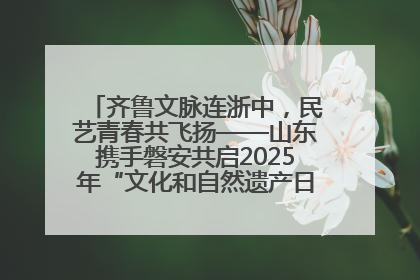 齐鲁文脉连浙中，民艺青春共飞扬——山东携手磐安共启2025年“文化和自然遗产日”系列活动