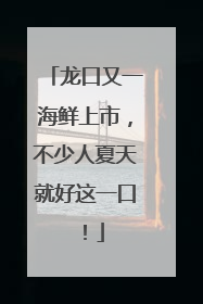 龙口又一海鲜上市，不少人夏天就好这一口！