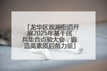 龙华区观澜街道开展2025年基干民兵集合点验大会，锻造高素质后备力量